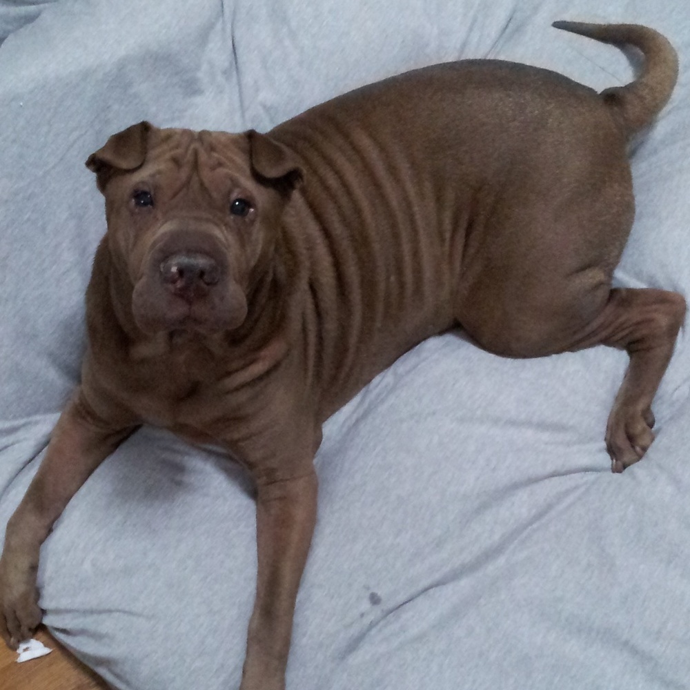 Meet your Posher, Madeline